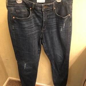 Loft curvy skinny NWOT